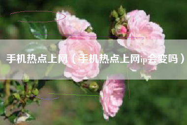 手机热点上网（手机热点上网ip会变吗）