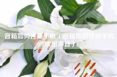 音箱如何连接手机（音箱如何连接手机放出声音）