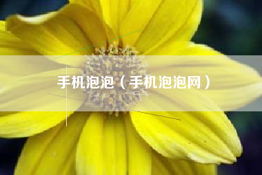 手机泡泡（手机泡泡网）