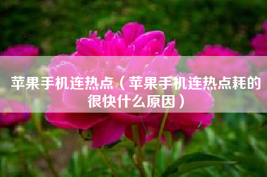 苹果手机连热点（苹果手机连热点耗的很快什么原因）