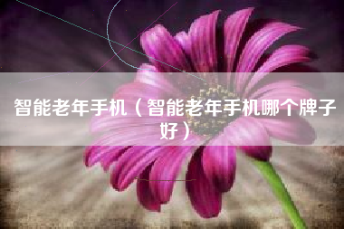 智能老年手机（智能老年手机哪个牌子好）