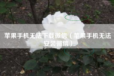 苹果手机无法下载微信（苹果手机无法安装微信）