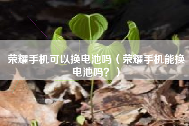 荣耀手机可以换电池吗（荣耀手机能换电池吗？）