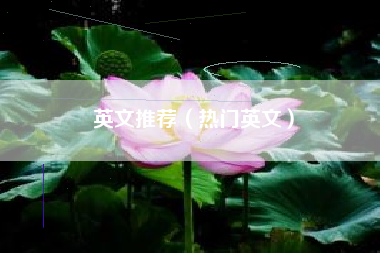 英文推荐（热门英文）