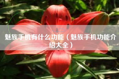 魅族手机有什么功能（魅族手机功能介绍大全）