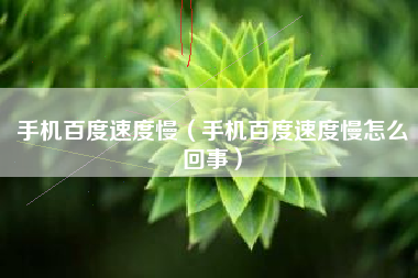手机百度速度慢（手机百度速度慢怎么回事）