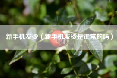 新手机发烫（新手机发烫是正常的吗）