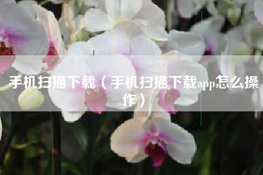 手机扫描下载（手机扫描下载app怎么操作）