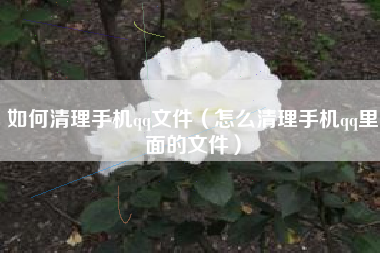 如何清理手机qq文件（怎么清理手机qq里面的文件）