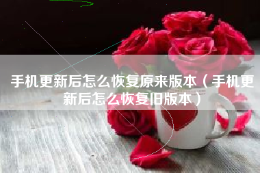 手机更新后怎么恢复原来版本（手机更新后怎么恢复旧版本）