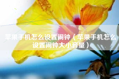 苹果手机怎么设置闹钟（苹果手机怎么设置闹钟大小音量）
