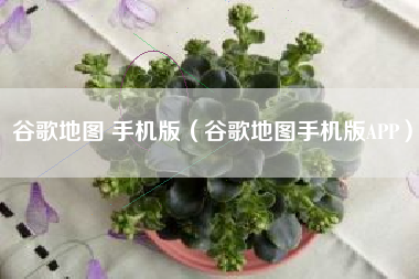 谷歌地图 手机版（谷歌地图手机版APP）