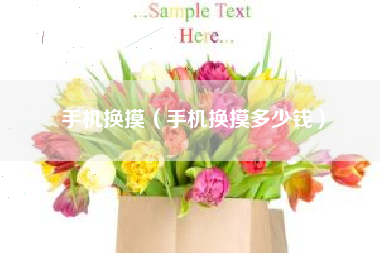 手机换摸（手机换摸多少钱）