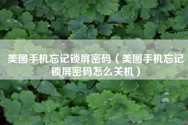 美图手机忘记锁屏密码（美图手机忘记锁屏密码怎么关机）