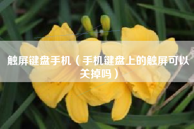 触屏键盘手机（手机键盘上的触屏可以关掉吗）