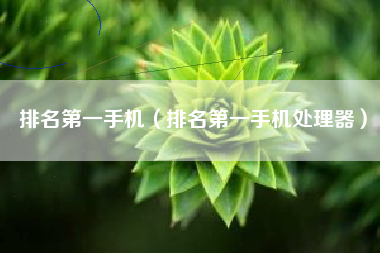 排名第一手机（排名第一手机处理器）