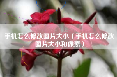 手机怎么修改图片大小（手机怎么修改图片大小和像素）