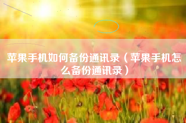 苹果手机如何备份通讯录（苹果手机怎么备份通讯录）