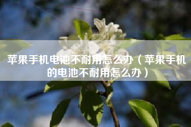 苹果手机电池不耐用怎么办（苹果手机的电池不耐用怎么办）