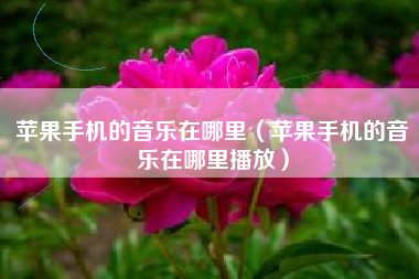 苹果手机的音乐在哪里（苹果手机的音乐在哪里播放）
