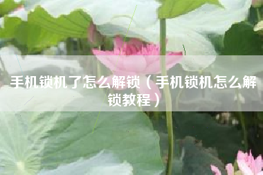 手机锁机了怎么解锁（手机锁机怎么解锁教程）