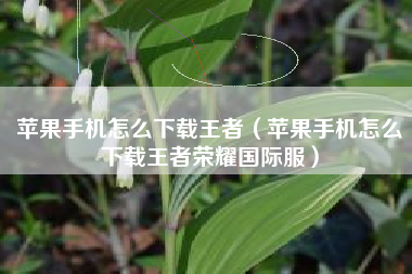 苹果手机怎么下载王者（苹果手机怎么下载王者荣耀国际服）