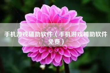 手机游戏辅助软件（手机游戏辅助软件免费）