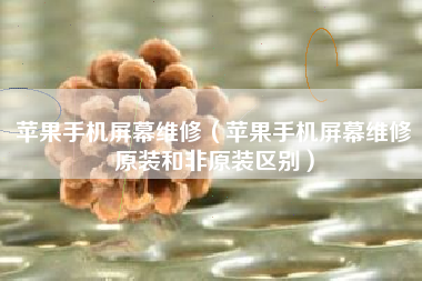 苹果手机屏幕维修（苹果手机屏幕维修原装和非原装区别）