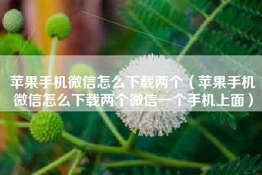 苹果手机微信怎么下载两个（苹果手机微信怎么下载两个微信一个手机上面）