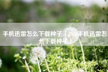 手机迅雷怎么下载种子（2020手机迅雷怎么下载种子）