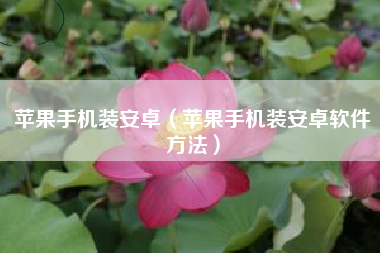 苹果手机装安卓（苹果手机装安卓软件方法）