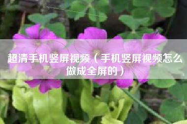 超清手机竖屏视频（手机竖屏视频怎么做成全屏的）