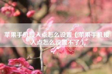 苹果手机接入点怎么设置（苹果手机接入点怎么设置不了）