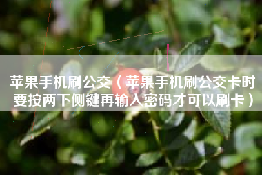 苹果手机刷公交（苹果手机刷公交卡时要按两下侧键再输入密码才可以刷卡）