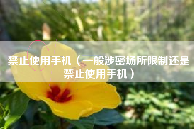 禁止使用手机（一般涉密场所限制还是禁止使用手机）