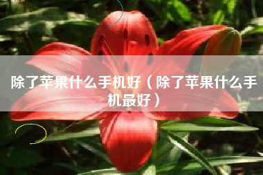 除了苹果什么手机好（除了苹果什么手机最好）