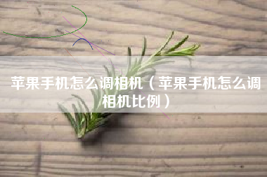 苹果手机怎么调相机（苹果手机怎么调相机比例）