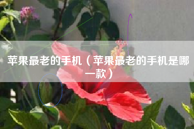 苹果最老的手机（苹果最老的手机是哪一款）