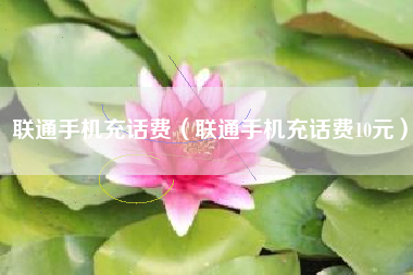 联通手机充话费（联通手机充话费10元）