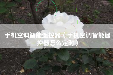 手机空调智能遥控器（手机空调智能遥控器怎么定时）