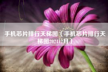 手机芯片排行天梯图（手机芯片排行天梯图202412月）