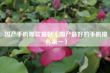 国产手机哪款最好（国产最好的手机排名第一）