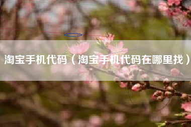 淘宝手机代码（淘宝手机代码在哪里找）