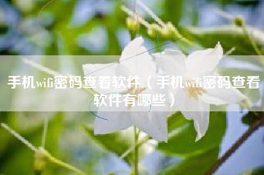 手机wifi密码查看软件（手机wifi密码查看软件有哪些）