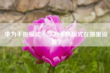 华为手机模式（华为手机模式在哪里设置）