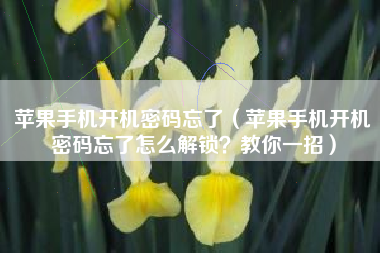 苹果手机开机密码忘了（苹果手机开机密码忘了怎么解锁？教你一招）