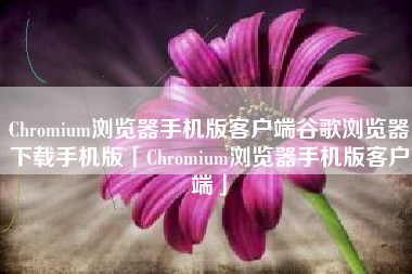 Chromium浏览器手机版客户端谷歌浏览器下载手机版「Chromium浏览器手机版客户端」