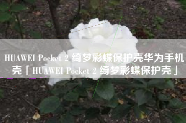HUAWEI Pocket 2 绮梦彩蝶保护壳华为手机壳「HUAWEI Pocket 2 绮梦彩蝶保护壳」