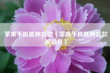 苹果手机抵押贷款（苹果手机抵押贷款被锁机）