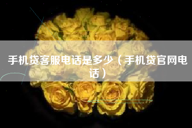 手机贷客服电话是多少（手机贷官网电话）
